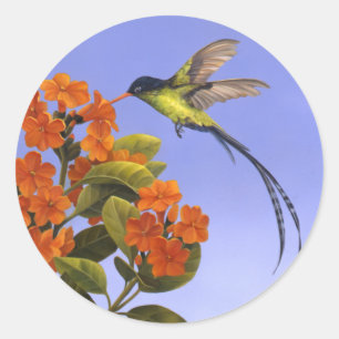 Hummingvogel Ronde Sticker