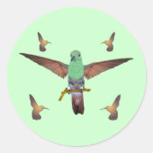 Hummingvogel Ronde Sticker (Voorkant)