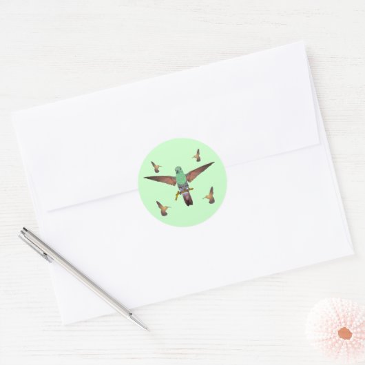 Hummingvogel Ronde Sticker (Envelop)