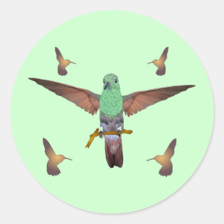 Hummingvogel Ronde Sticker