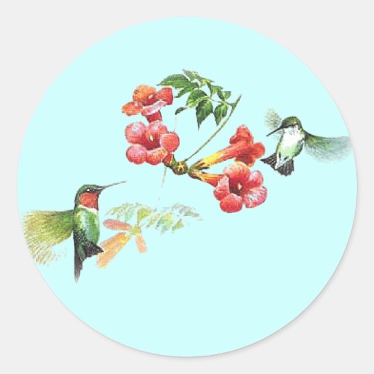 Hummingvogel Ronde Sticker (Voorkant)
