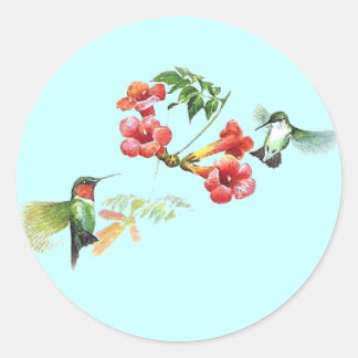 Hummingvogel Ronde Sticker