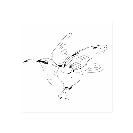 Hummingvogel Rubberstempel (Afrduk)