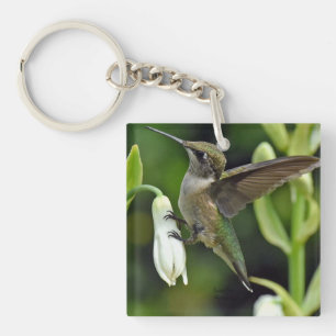 Hummingvogel Sleutelhanger