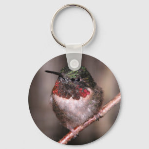 Hummingvogel Sleutelhanger