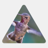 Hummingvogel Sticker (Voorkant)