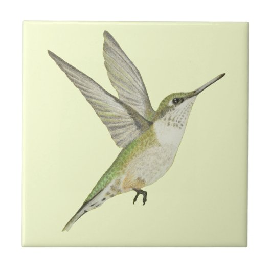 Hummingvogel Tegeltje (Voorkant)