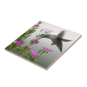 Hummingvogel Tegeltje (Zijkant)