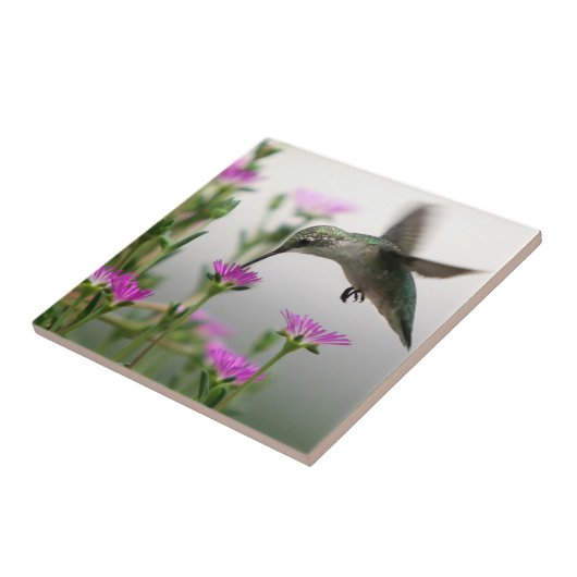 Hummingvogel Tegeltje (Zijkant)