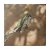 Hummingvogel Tegeltje (Voorkant)