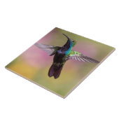 Hummingvogel Tegeltje (Zijkant)