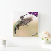 Hummingvogel Vierkante Klok (Huis)