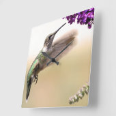 Hummingvogel Vierkante Klok (Hoek)