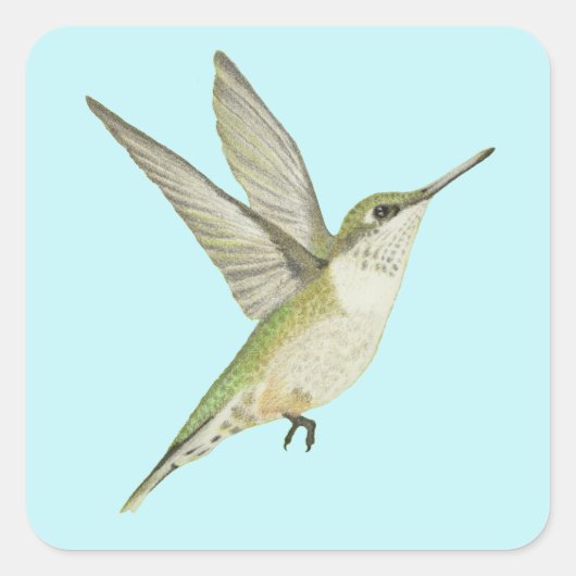 Hummingvogel Vierkante Sticker (Voorkant)