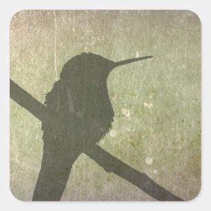 Hummingvogel Vierkante Sticker