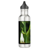 Hummingvogel Waterfles (Links)