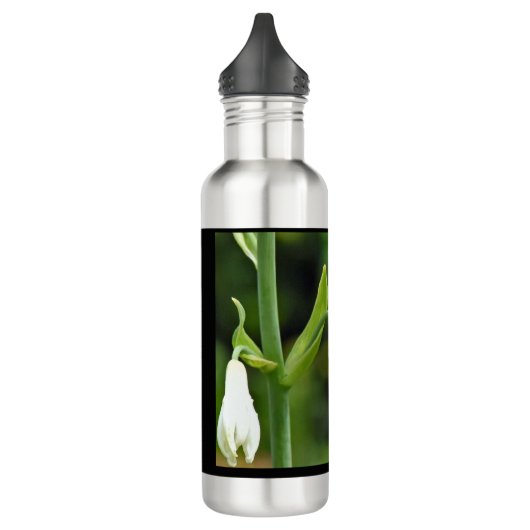 Hummingvogel Waterfles (Links)