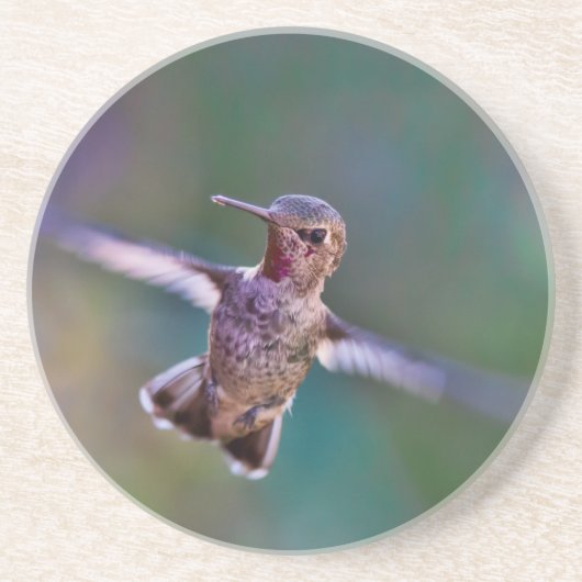 Hummingvogel Zandsteen Onderzetter (Voorkant)
