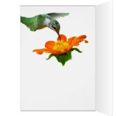 Hummingvogelmeel op de vlucht (Binnen (Links))