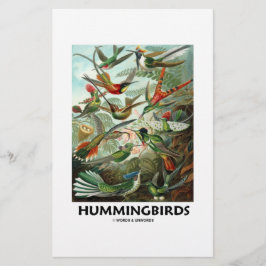 Hummingvogels