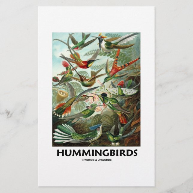 Hummingvogels (Voorkant)