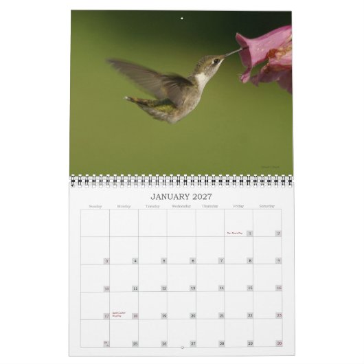 Hummingvogels - 2010 kalender (Jan 2027)