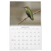Hummingvogels - 2010 kalender (Mar 2027)