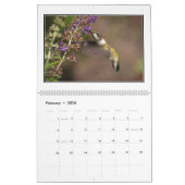 Hummingvogels 2016 Maandelijks Agenda door Tom Min Kalender (Feb 2026)
