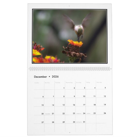 Hummingvogels 2016 Maandelijks Agenda door Tom Min Kalender (Dec 2026)