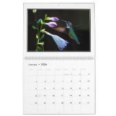 Hummingvogels 2016 Maandelijks Agenda door Tom Min Kalender (Jan 2026)