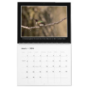 Hummingvogels 2017 Maandelijks Agenda van Tom Minu Kalender (Mar 2026)