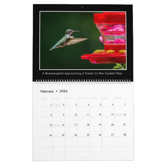 Hummingvogels 2017 Maandelijks Agenda van Tom Minu Kalender (Feb 2026)