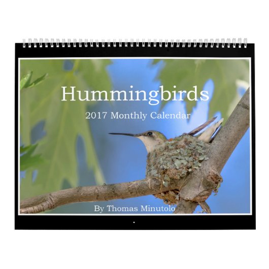 Hummingvogels 2017 Maandelijks Agenda van Tom Minu Kalender (Hoes)