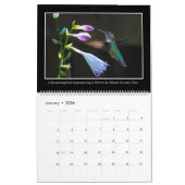 Hummingvogels 2017 Maandelijks Agenda van Tom Minu Kalender (Jan 2026)