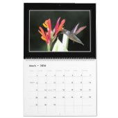 Hummingvogels 2018 Maandelijks Agenda van Tom Minu Kalender (Mar 2026)
