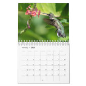 Hummingvogels 2020 kalender (Jan 2026)