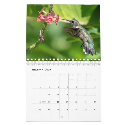 Hummingvogels 2020 kalender (Jan 2026)