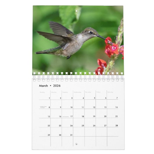 Hummingvogels 2020 kalender (Mar 2026)