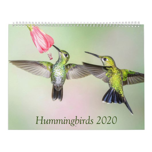 Hummingvogels 2020: Prachtige foto kalender (Hoes)