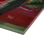 Hummingvogels 9508 Glazen snijvlak Snijplank (Hoek)