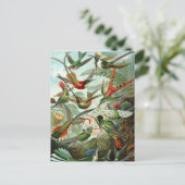 Hummingvogels Briefkaart (Staand voorkant)