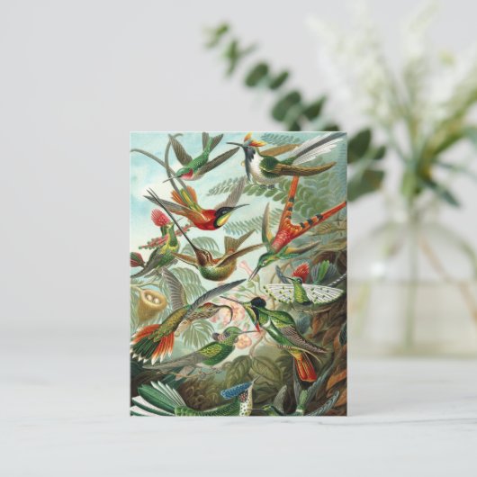 Hummingvogels Briefkaart (Staand voorkant)