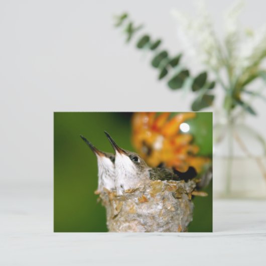 Hummingvogels Briefkaart (Staand voorkant)
