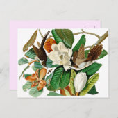 Hummingvogels Briefkaart (Voorkant / Achterkant)