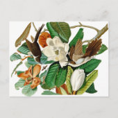 Hummingvogels Briefkaart (Voorkant)