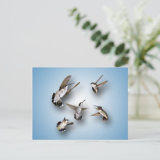 Hummingvogels Briefkaart (Staand voorkant)