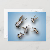 Hummingvogels Briefkaart (Voorkant / Achterkant)