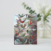  Hummingvogels Briefkaart (Staand voorkant)
