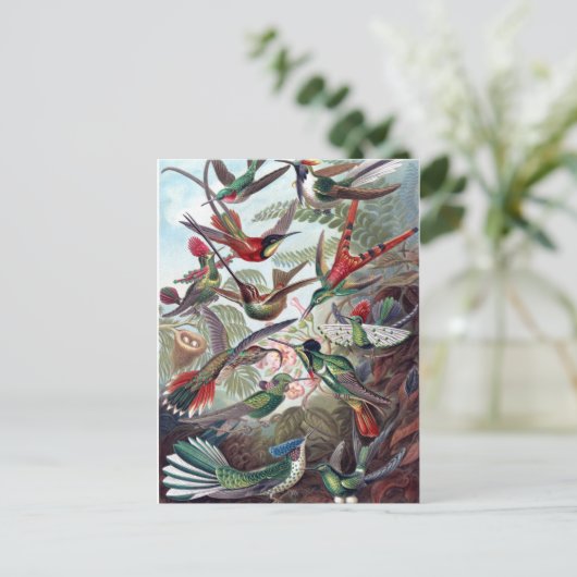  Hummingvogels Briefkaart (Staand voorkant)