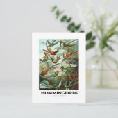 Hummingvogels Briefkaart (Staand voorkant)